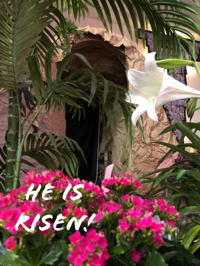 e52ac01a-3514-4f75-b4b6-e5aca107a96b