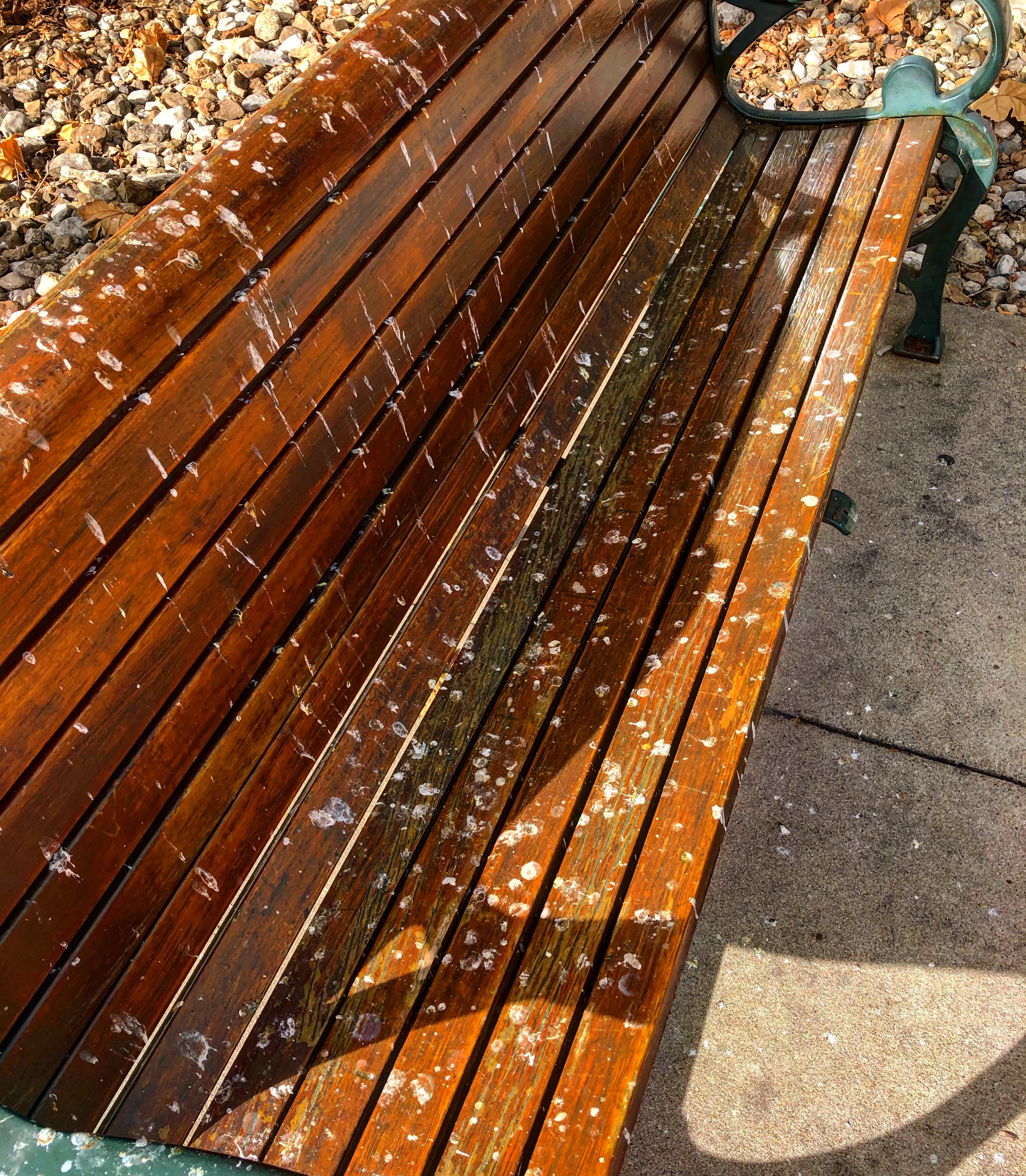 94750011-12de-4ecd-96cd-bca4bb706b87