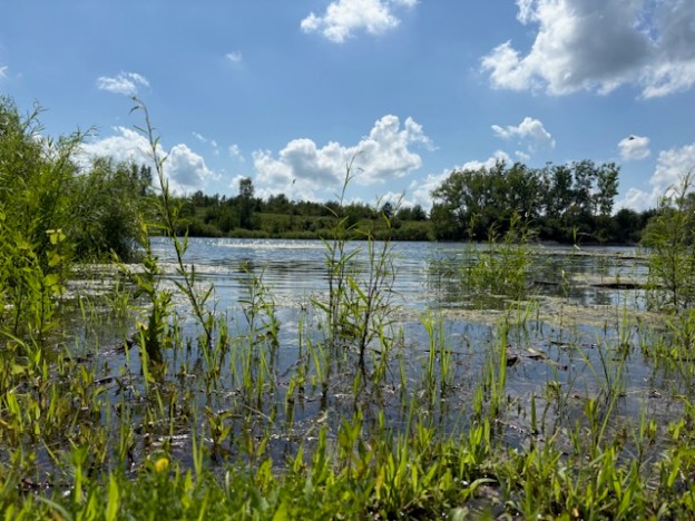 view of a small lake with green grass in front and blue sky with white clouds
